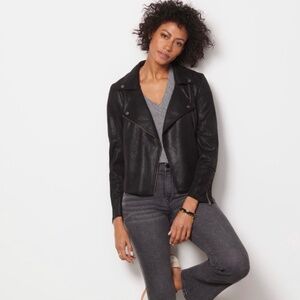 Evereve black jacket